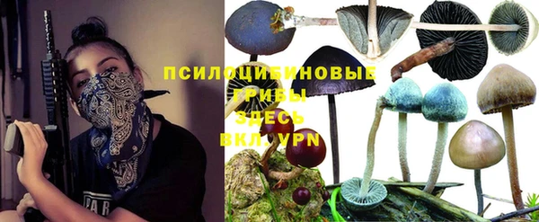 экстази Белокуриха
