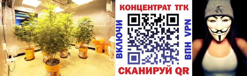 закладка  Купино  OMG ONION  ТГК жижа 